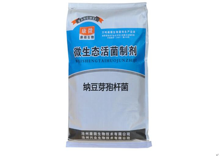 单一纳豆芽孢杆菌