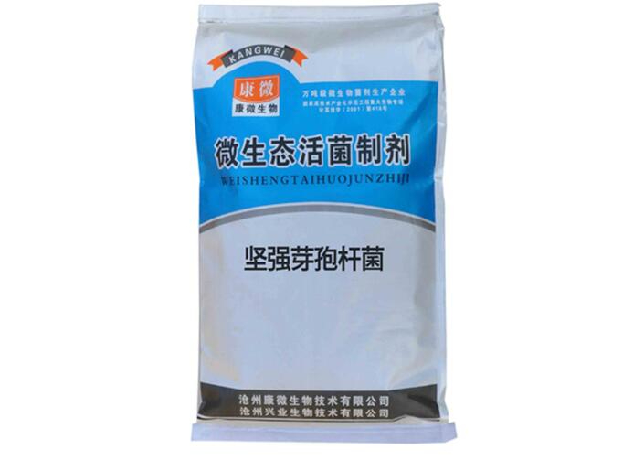 单一坚强芽孢杆菌