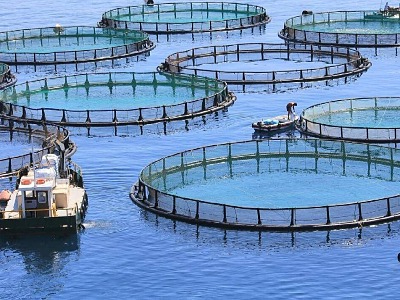 水产养殖