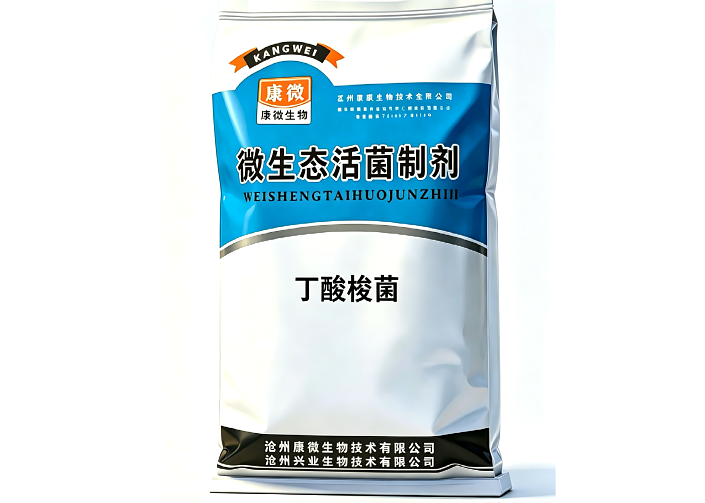 丁酸梭菌