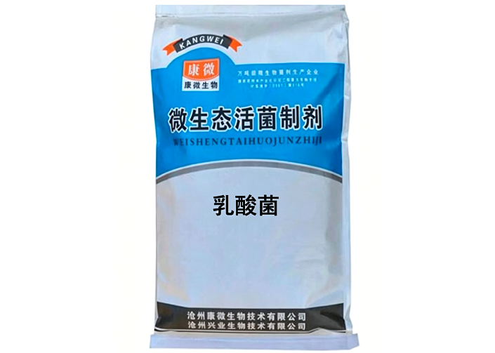 乳酸菌