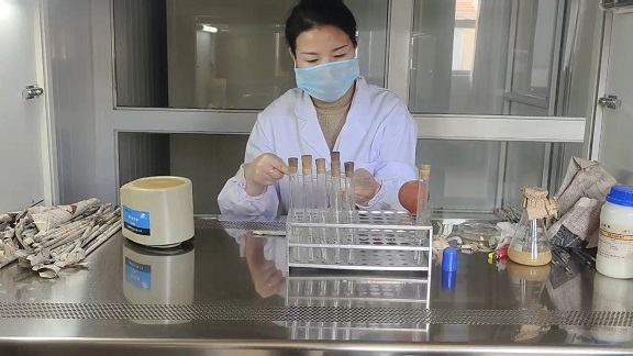 微生物检测