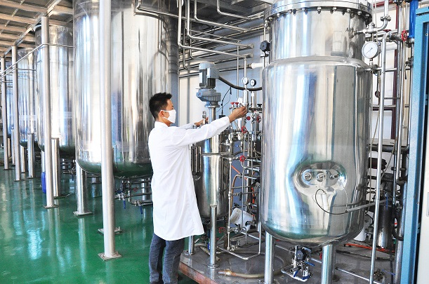 菌种代加工